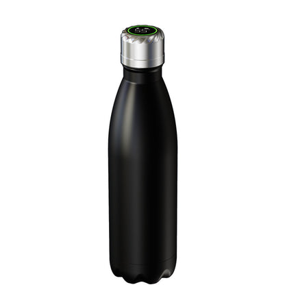 Stainless Steel Vacuum Bottle