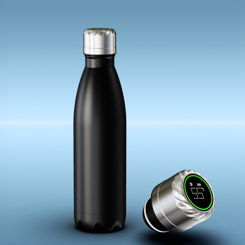 Stainless Steel Vacuum Bottle