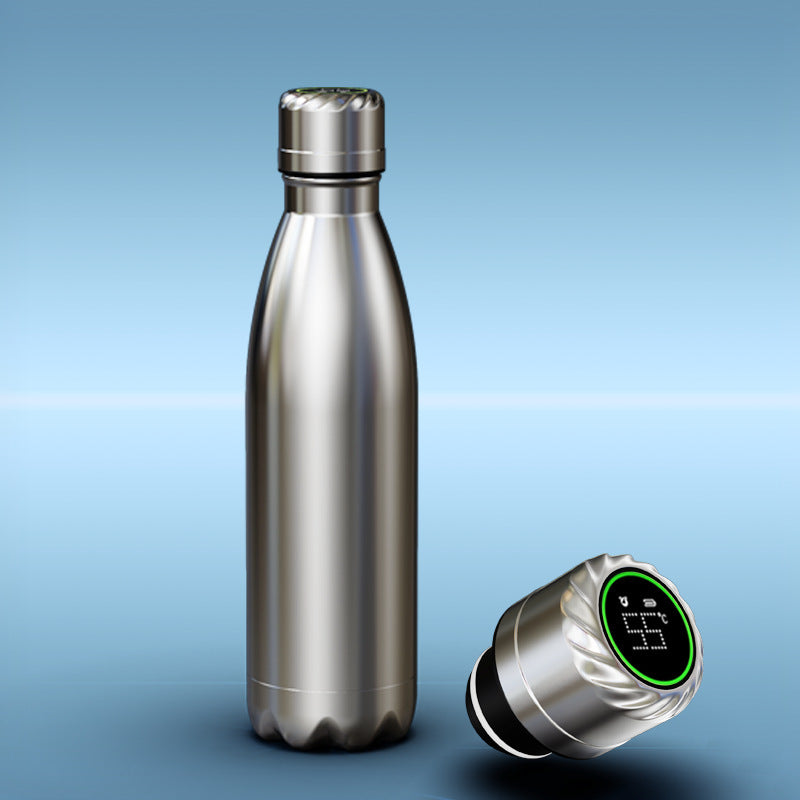 Stainless Steel Vacuum Bottle